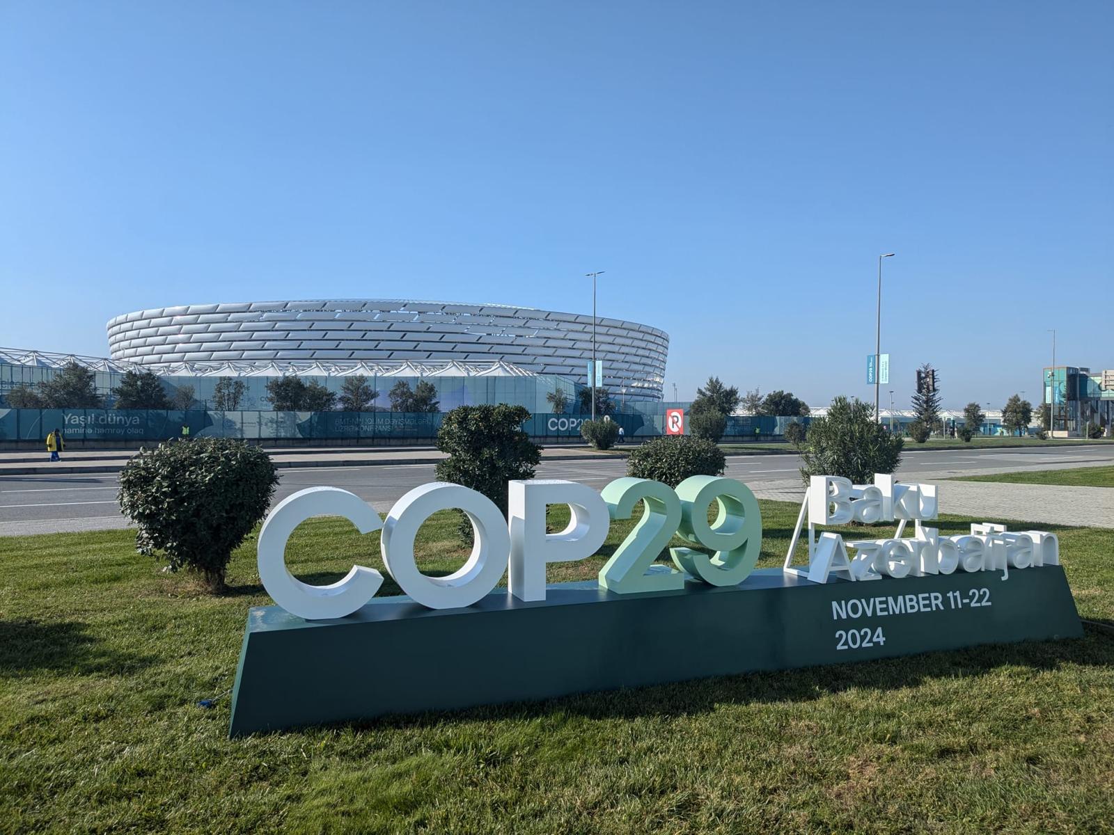 COP29