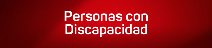 Personas discapacidad categoria