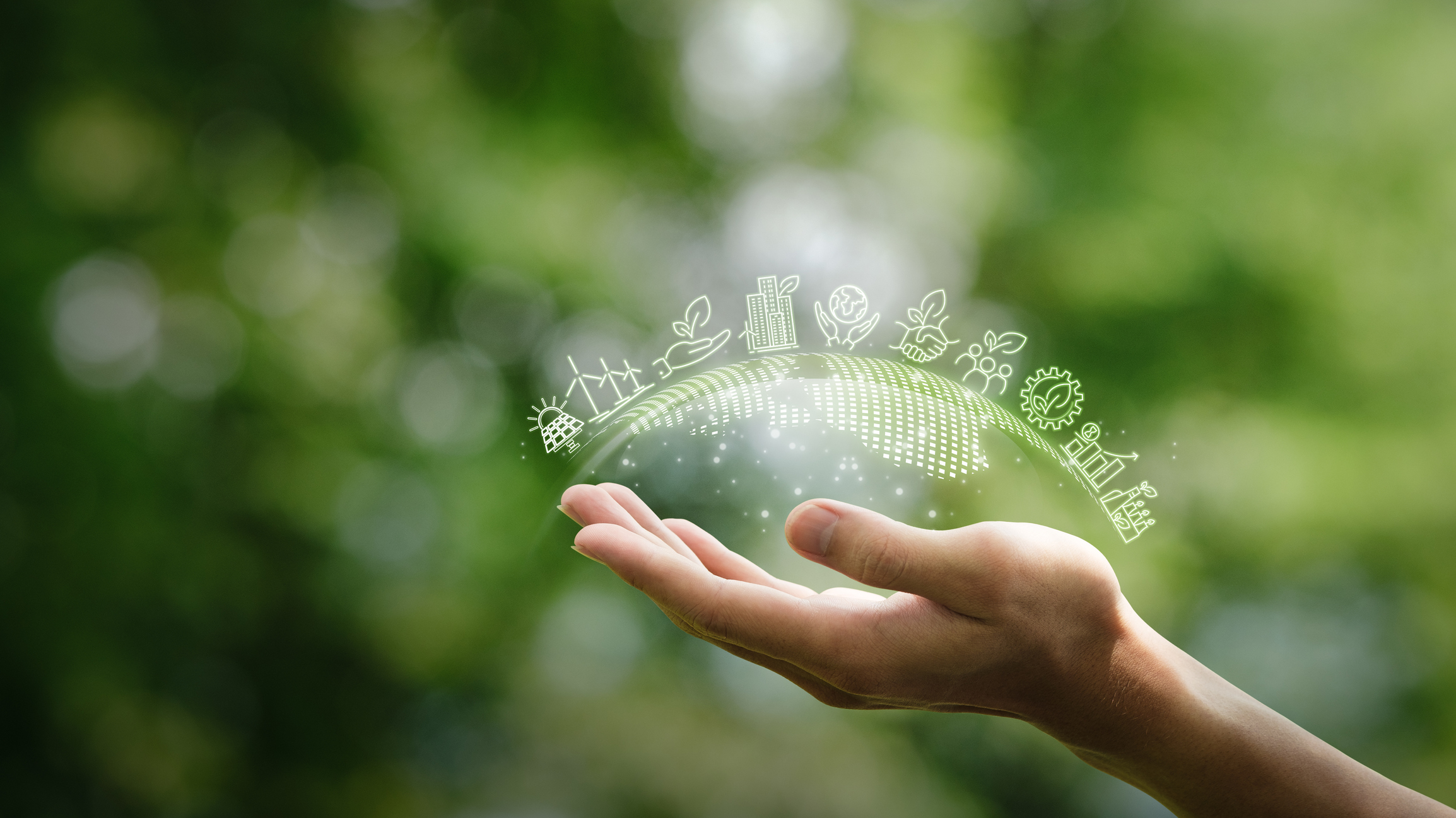 Ilustración para el medio ambiente