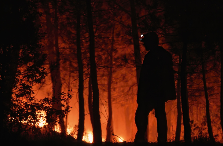 Bombero en un incendio forestal