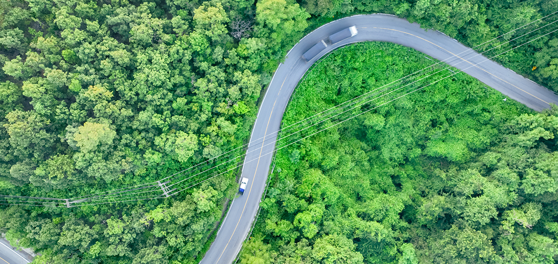 Carretera cruzando un bosque