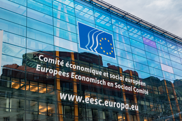 CESE en la UE