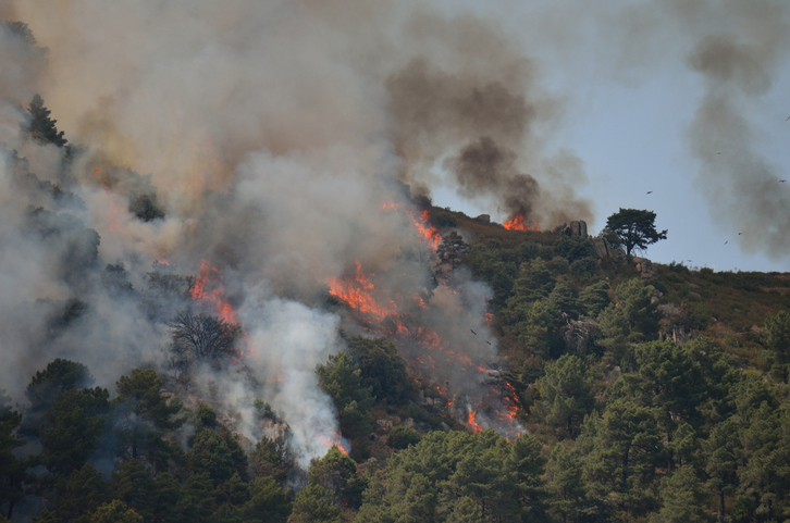 Incendio forestal