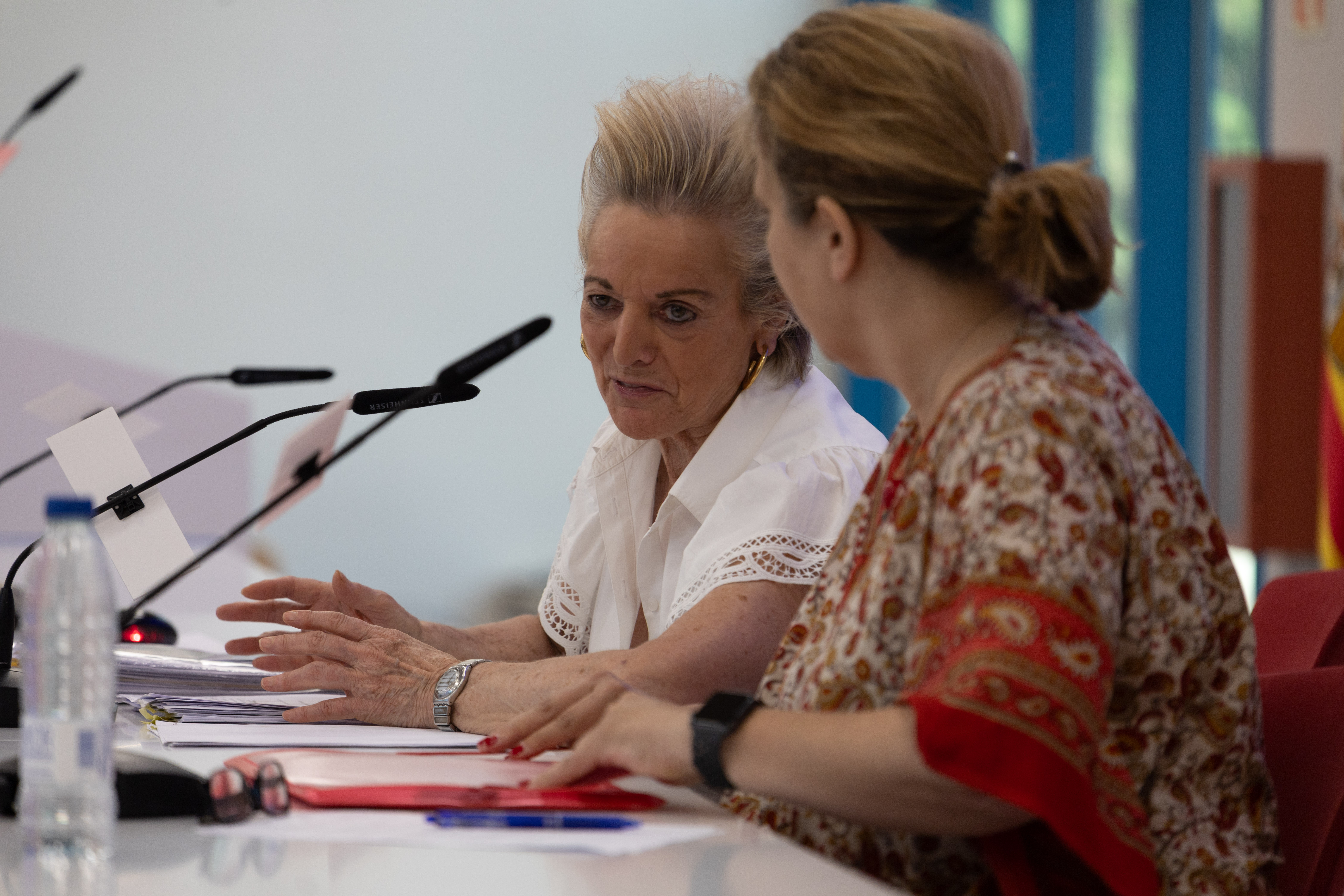 María Luisa Segoviano Astaburuaga, magistrada del Tribunal Constitucional