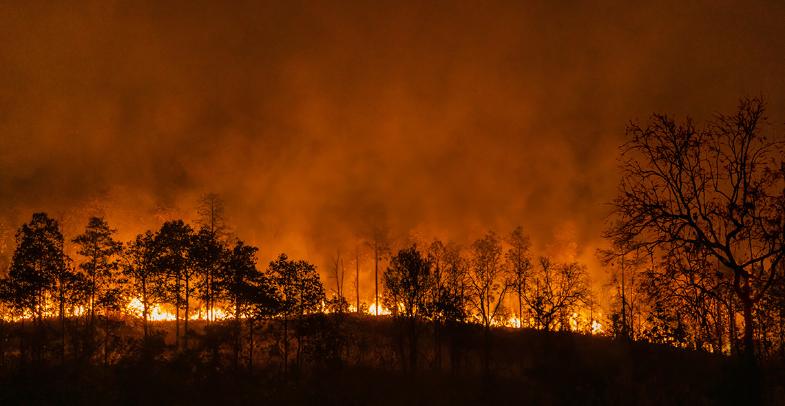 Incendio forestal por la noche